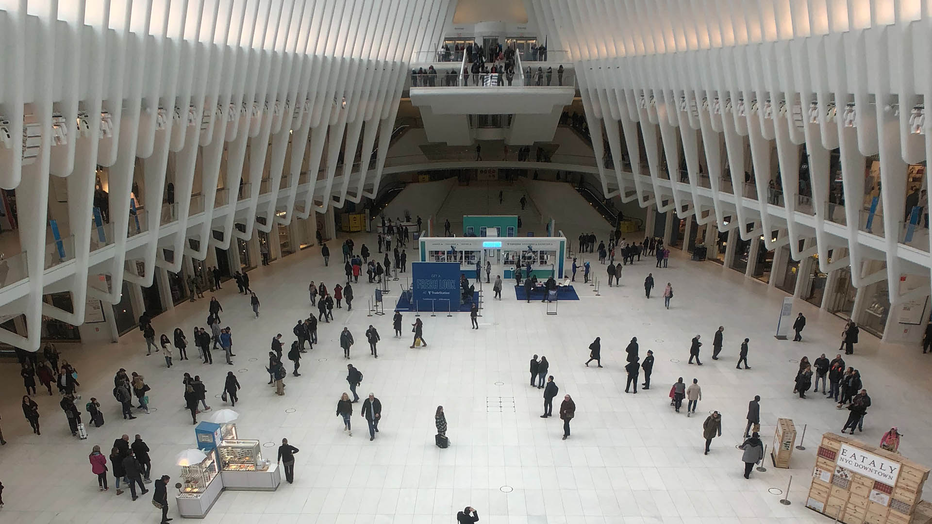 Intellectual Property Law